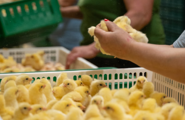 N6xzc4SaUik90U2LVwN0Bs8Te4Y