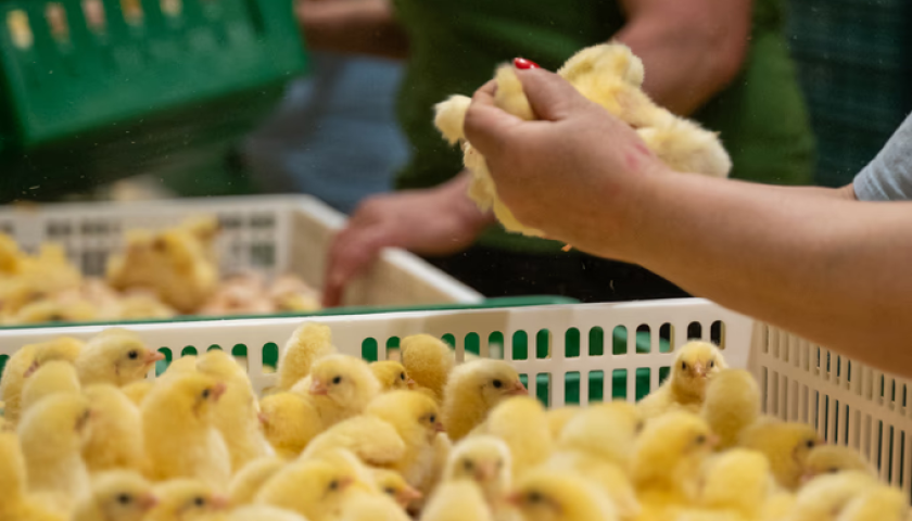 N6xzc4SaUik90U2LVwN0Bs8Te4Y