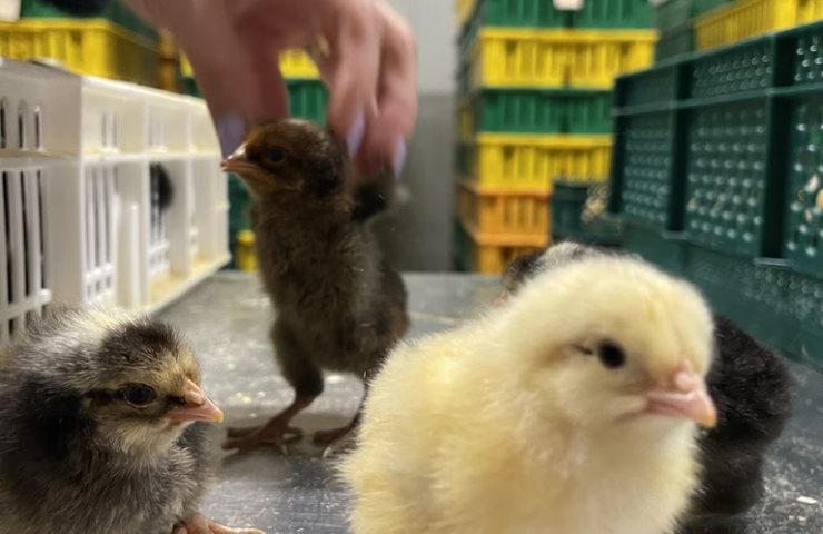 jpSI25fw7JmOsJYZEHuHpDTV8