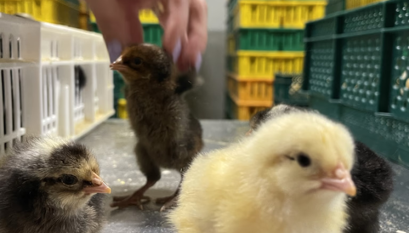 jpSI25fw7JmOsJYZEHuHpDTV8