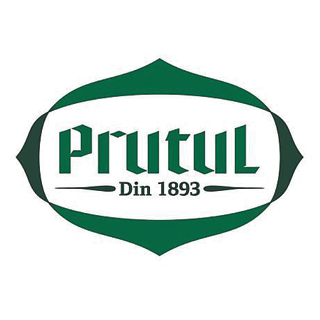 logo-prutul