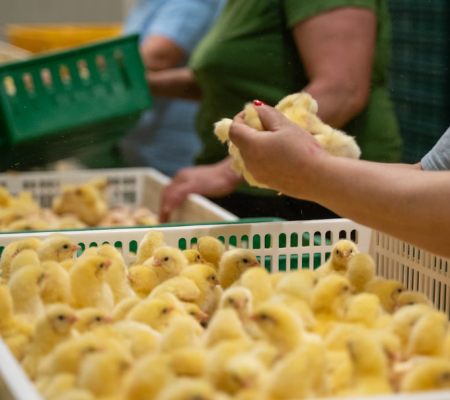 N6xzc4SaUik90U2LVwN0Bs8Te4Y