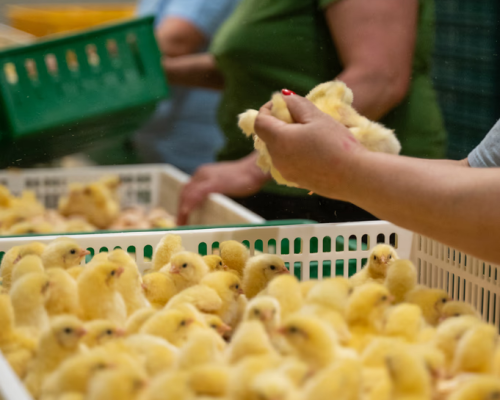 N6xzc4SaUik90U2LVwN0Bs8Te4Y