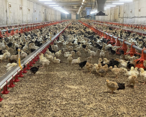 ZwYcxqmNRo8YrPJPupdXxZZO6TU