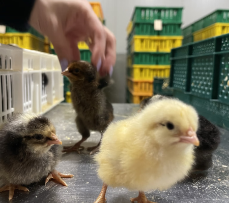 jpSI25fw7JmOsJYZEHuHpDTV8