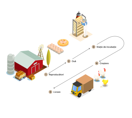 yoc6xN9KBi89ddqmooz2Co6rasw